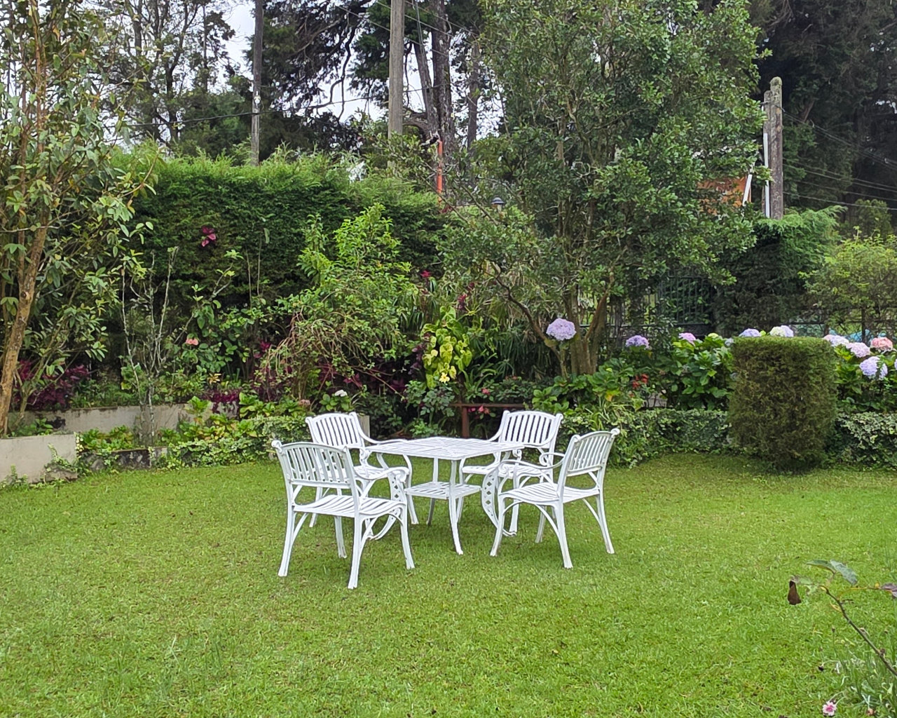 Christine's Cottage Garden